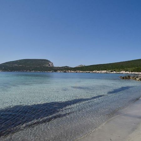 Villa Margherita Alghero Bagian luar foto