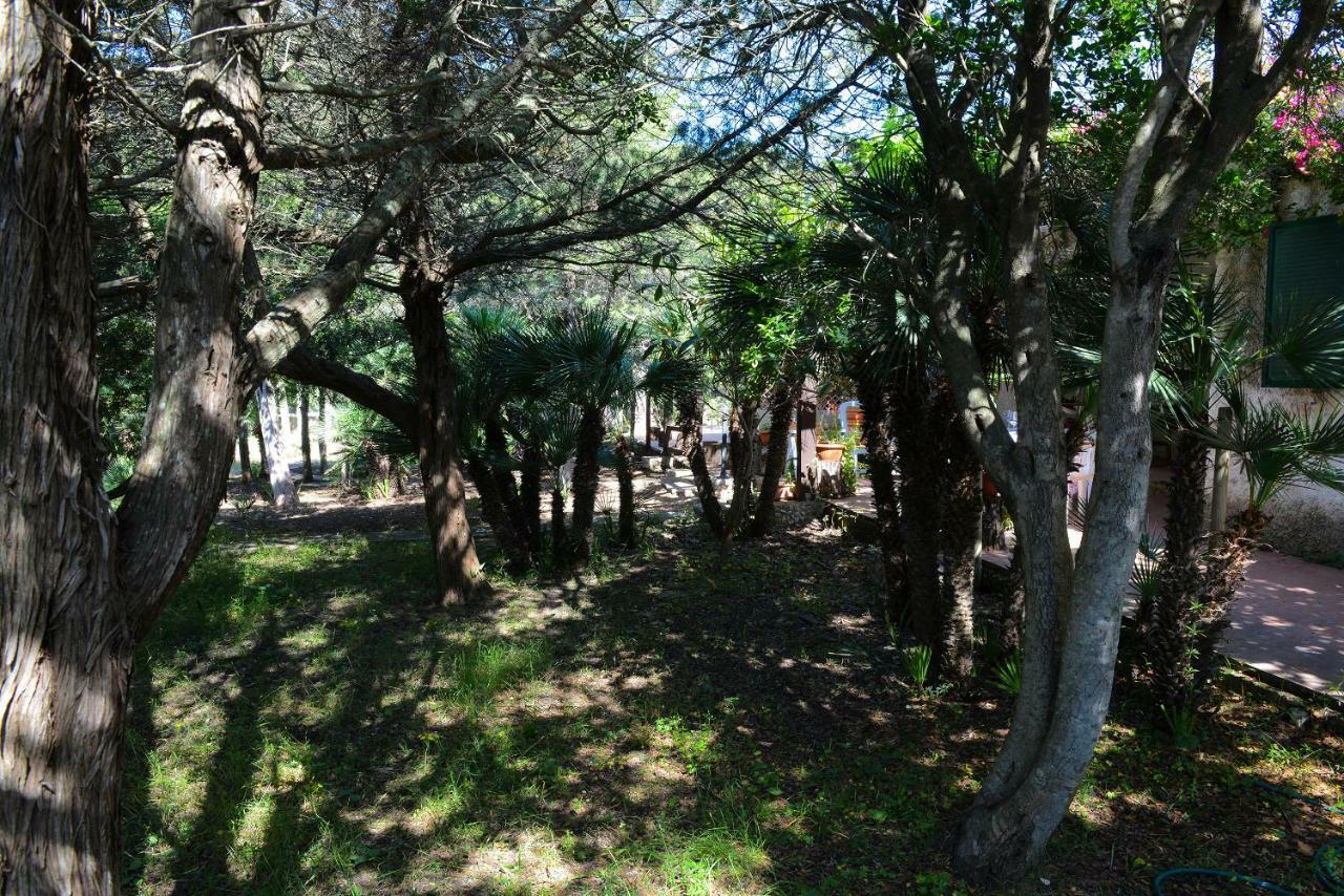 Villa Margherita Alghero Bagian luar foto